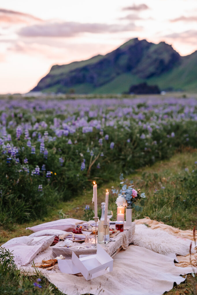 Couples Luxury Picnic in lupine fields Iceland by EZ Elopements